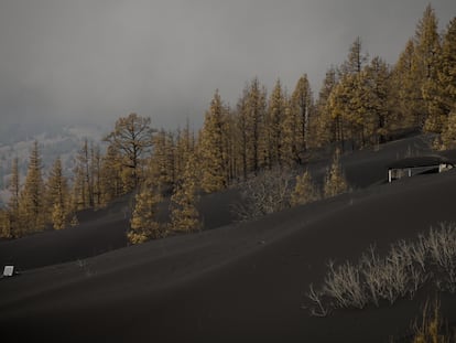 Una construcción cubierta de ceniza en la zona de exclusión del volcán de La Palma