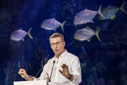 El candidato del PP a la Presidencia del Gobierno, Alberto Núñez Feijóo, durante un mitin en el Oceanográfico de Valencia, el jueves.