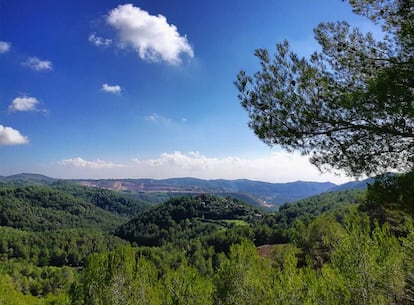 Parque natural del Garraf.