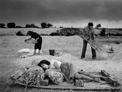 'En las eras' (1988), fotografía del libro 'España oculta' tomada en la localidad zamorana de Escober. La imagen pertenece a la colección del Museo Reina Sofía.