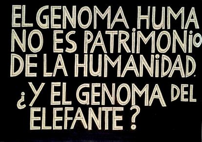 "Gracias a que podemos conocer la secuencia del genoma humano se pueden también conocer las mutaciones que ocurren en el mismo para dar lugar a enfermedades que luego se pueden prevenir y curar", afirma Margarita Salas. Para ella, todos los genomas son importantes para establecer relaciones y definir cómo ha sido la evolución de los humanos. Cuando Lootz pintó esta obra, lo hizo pensando en la necesidad de una bioética: "Muy bien, el genoma humano es Patrimonio de la Humanidad, pero ¿qué pasa con el genoma del elefante, del lince o del cerdo?.