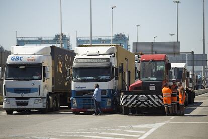 Varios camiones esperan el acceso a la terminal APT del Puerto de Algeciras.