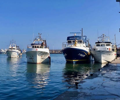 Puerto Caleta de Vélez. J.C. CAPEL