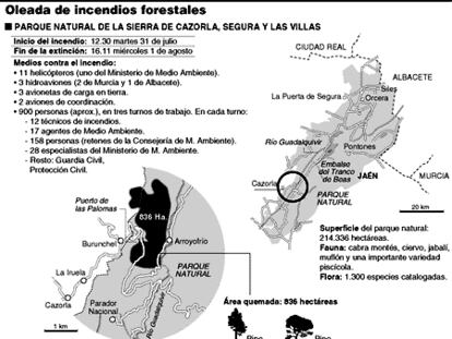Oleada de incendios forestales