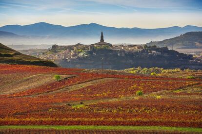 Vineyards in front of the village of Briones in La Rioja. This medieval location, brimming with palaces, mansions, churches and cobblestone streets, has a long and rich history. Small family wineries continue the town’s winemaking traditions and most of the buildings, in the style of La Rioja Alta, have three stories and are built from perfectly carved stone.