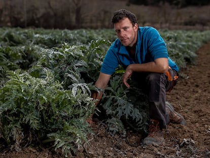 Javier de Miguel el pasado 2 de marzo en una de sus parcelas de la vega de Perales de Tajuña, donde produce alimentos que vende directamente a los consumidores