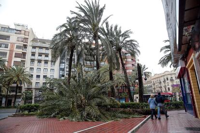 Dos personas pasan ante el tronco de una palmera, partida por el viento, en la ciudad de Valencia.