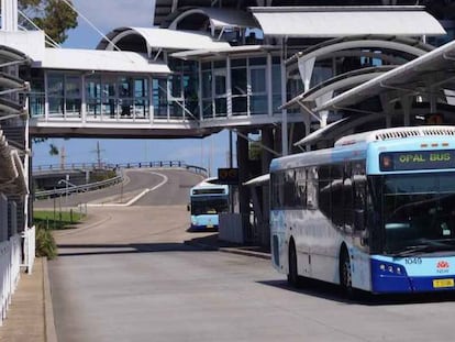 ACS y Globalvía operarán juntas servicios de autobús en Sídney