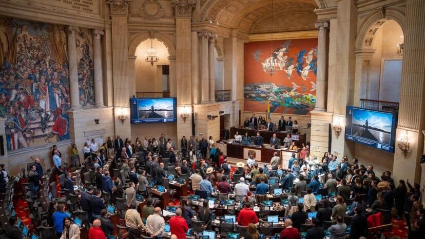 ‘Des-petrificar’ el debate constitucional | EL PAÍS América Colombia