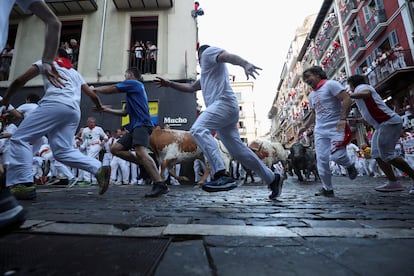Young men and bulls at the Mercades curve in Pamplona.