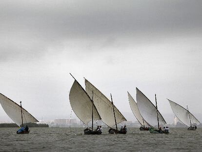 Las velas latinas recortan el horizonte de L'Albufera