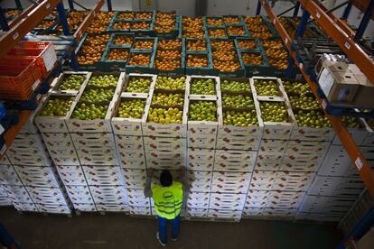 La gratuidad gravita en todos los principios del Banco de Alimentos de Madrid (tanto en la obtención, como en la distribución, el funcionamiento y la gestión). En la imagen, cajas apiladas de fruta donadas.