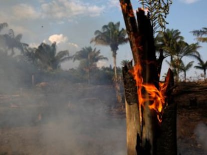 Embora reconheça o problema que antes negava, presidente Bolsonaro insinua que ONGs podem estar por trás das queimadas que já atingem reservas indígenas