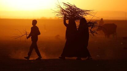 Iraquíes desplazados por los combates en Mosul llevan leña en territorio kurdo.