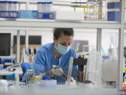 Lucía García, trabaja en su laboratorio de Madrid.