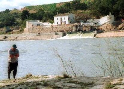 Imagen del Ebro a su paso por Xerta, lugar desde el cual arranca el trasvase.