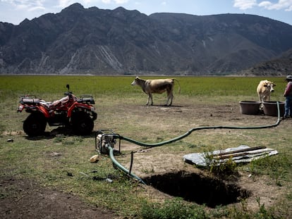 Una mujer junto al pozo que cavó en el lecho de la laguna para abastecer de agua a su ganado en Laguna de Metztitlán, Estado de Hidalgo, en mayo de 2023.