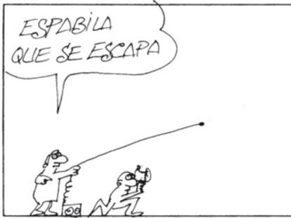 PERIDIS