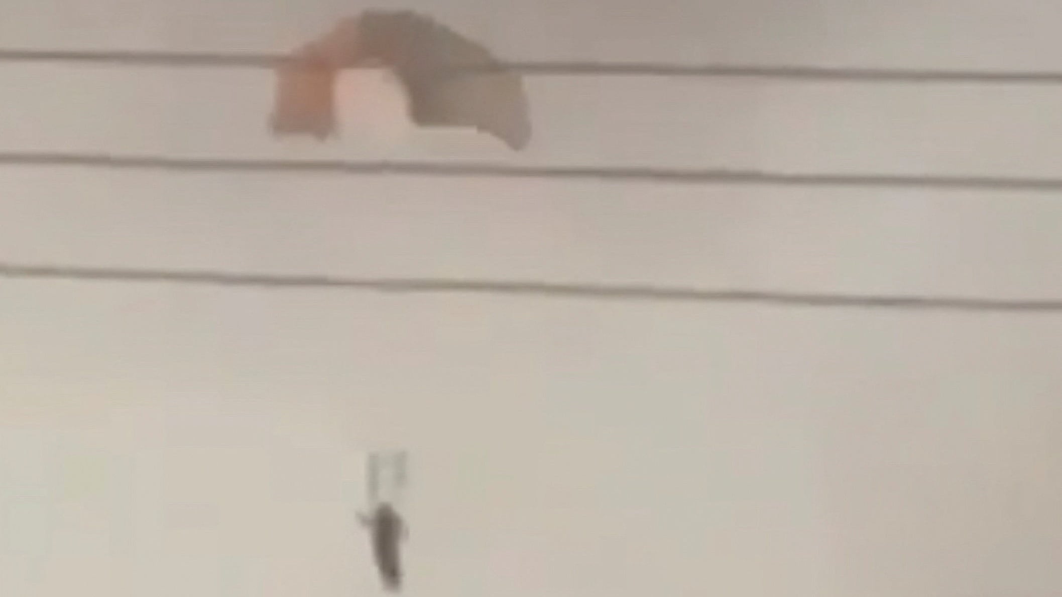 Derribados tres cazas F-15 de EE UU en Kuwait por “fuego amigo” 