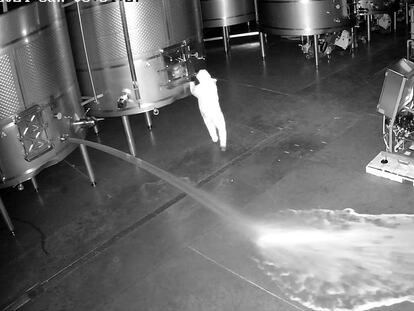 Captura del vídeo de seguridad de la Bodega Cepa 21, en el que se ve a una persona abriendo un depósito de vino.