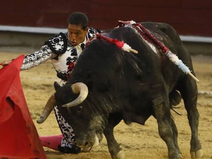 El torero colombiano Paco Perlaza lidia al toro 'Manchado', el pasado 31 de diciembre durante la Feria de Cali (Colombia).