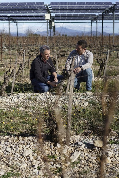 Iñaki García de Cortázar-Atauri (izquierda) en un viñedo agrícola experimental de Piolenc, Aviñón.