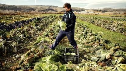 Una trabajadora del grupo de producci&oacute;n Ecosecha.