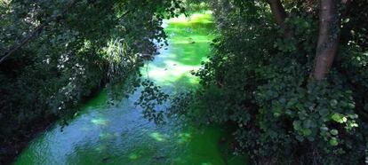 Las aguas del río Castaños, en Barakaldo, teñidas de color verde.
