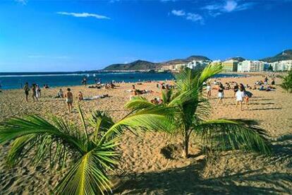 La playa de las Canteras se extiende a lo largo de tres kilómetros en   Las Palmas de Gran Canaria.