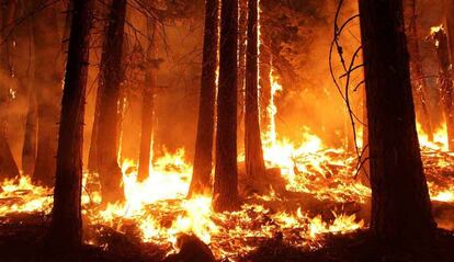 incendios forestales