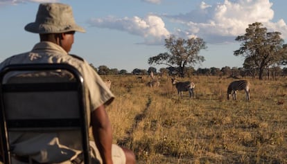 Uno de los guías de un safari en el delta del Okavango, en Botsuana, observa a un grupo de cebras.