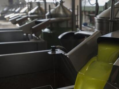 Tratamiento separado en una almazara de varias fases en Jaén para aceites de oliva virgen extra.