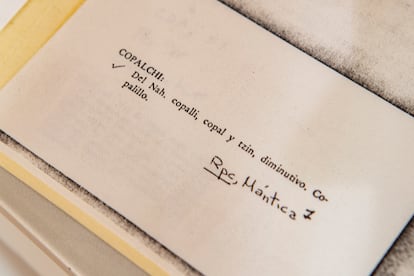 Información y significado de la palabra "copalchi" en el formato en el que archivan en el DEM.