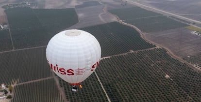 Vuelo en globo sobre olivos en los alrededores de Écija (Sevilla).   