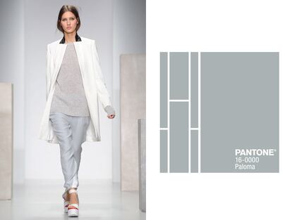 Gris Paloma