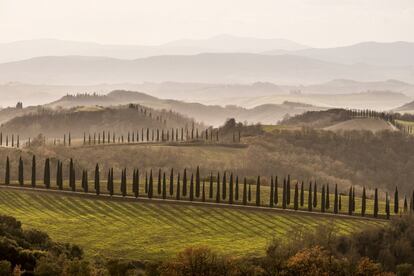 Un paisaje toscano por donde entrenaba.