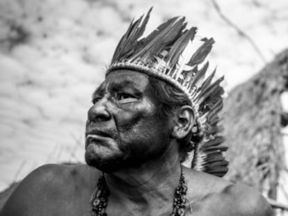 Los monocultivos, principalmente de soja y maíz, constituyen un desafío para la supervivencia de los indígenas guaraní kaiowá de Brasil
