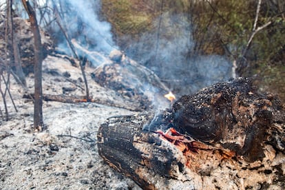 Campo quemado por el incendio en Tres Canto, este martes.