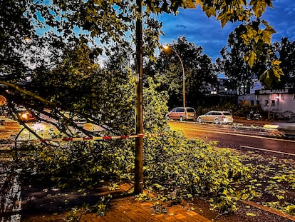 Berlin (Germany), 24/07/2023.- A fallen tree lies on the side of the road after a strong storm in Berlin, Germany, 24 July 2023. (tormenta, Alemania) EFE/EPA/HANNIBAL HANSCHKE
