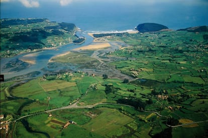 La reserva natural parcial de la ría de Villaviciosa (en la foto), en el concejo del mismo nombre, es uno de los estuarios mejor conservados de la costa asturiana. El pequeño aporte de las aguas de aguas fluviales (de ríos como Llinares, Sebrayu o Fompalaín) frente a las marinas deriva en una elevada salinidad, inundaciones periódicas debidas a la marea e intensa sedimentación, y la convierte en una importante reserva de biodiversidad. Su población de invertebrados sirve de alimento a una treintena de variedades de peces y a miles de aves, limícolas como zarapitos, archibeles, chorlitos, correlimos y ostreros; pescadoras continentales como el zampulín chico, el somourmujo lavanco o el cormorán grande, y marinas, como las gaviotas.