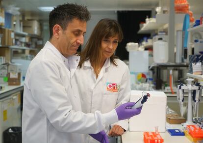 Lola Manterola con el profesor Chris Jones, del Instituto de Investigación del Cáncer, el día 7 en Londres.