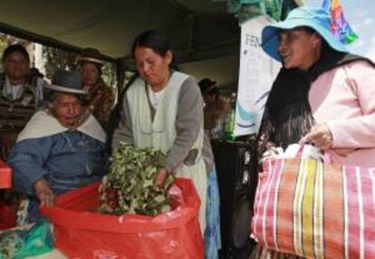 Mujeres productoras de la hoja de coca, regalan su producto el 12 de marzo de 2012, en el acto por el Día Nacional del Acullico (masticado de la coca) en la plaza Villarroel de La Paz (Bolivia). EFE/Archivo