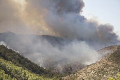 Vista de la zona del incendio, en la sierra de la Granadella, cerca de las urbanizaciones de Benitachel.