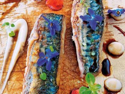<b>Receta de 'Tataki' de Caballa, presentación</b>