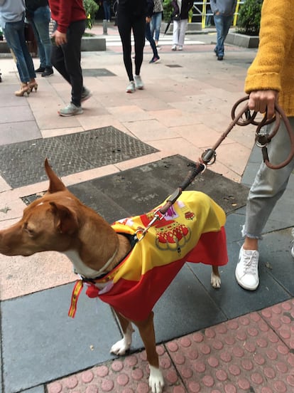 Barri, con la bandera de España.