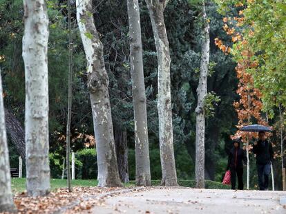 Varias personas pasean por el parque del Retiro en Madrid el primer d&iacute;a de lluvia en mes y medio.