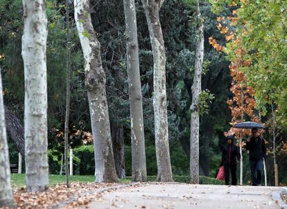 Varias personas pasean por el parque del Retiro en Madrid el primer día de lluvia en mes y medio.