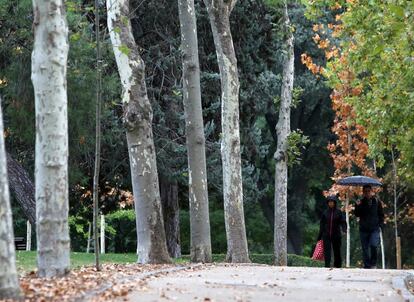 Varias personas pasean por el parque del Retiro en Madrid el primer d&iacute;a de lluvia en mes y medio.