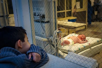 Un niño observa un recién nacido.