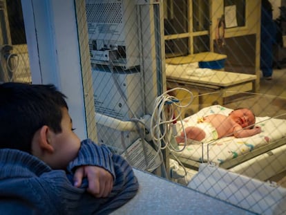 Un niño observa un recién nacido.